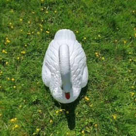 Łabędź pływający duży H: 47cm ogrodowy figura do ogrodu - zdjęcie 6