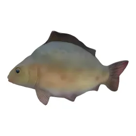 Figura dekoracyjna Karp wym. 40×60cm z żywicy - zdjęcie 2