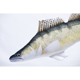 Poduszka dekoracyjna ryba Sandacz 77 cm maskotka - zdjęcie 2