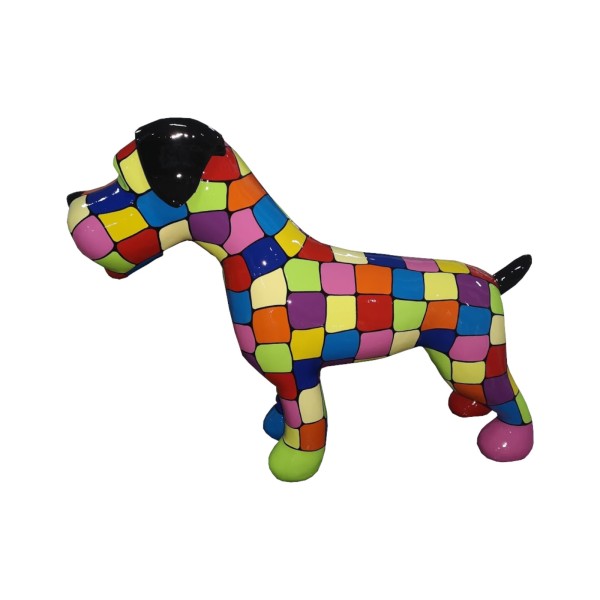 Terrier- multikolor łaty