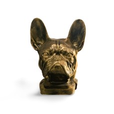 Buldog francuski