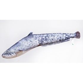 Poduszka dekoracyjna ryba Sum mały 62 cm maskotka - zdjęcie 1