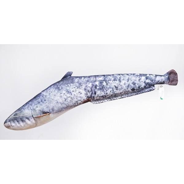 Poduszka dekoracyjna ryba Sum mały 62 cm maskotka