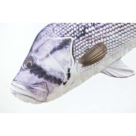 Poduszka dekoracyjna ryba Dhufish 80 cm maskotka - zdjęcie 2