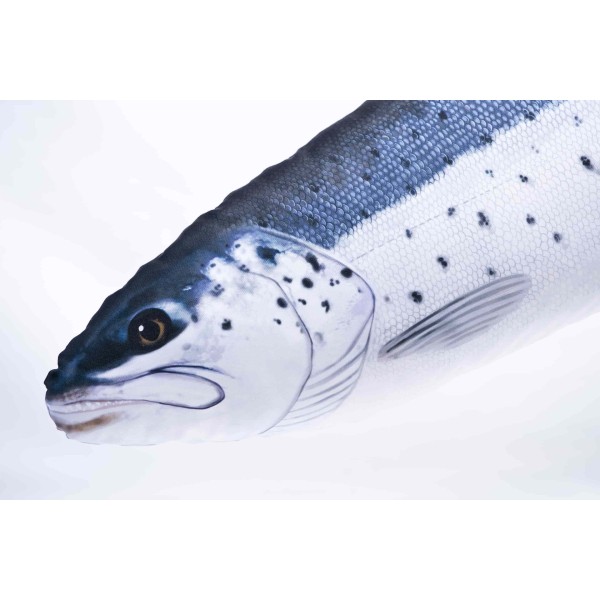 Poduszka dekoracyjna ryba Troć 110 cm maskotka