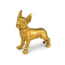 Buldog mały