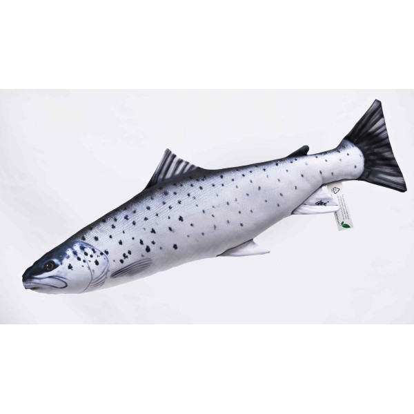Poduszka dekoracyjna ryba Troć mini 51 cm maskotka