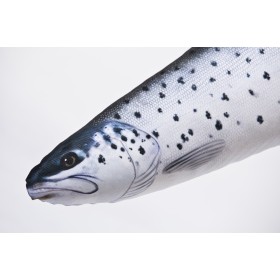 Poduszka dekoracyjna ryba Troć mini 51 cm maskotka - zdjęcie 2