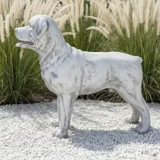 Figura ogrodowa Pies Rottweiler H: 70cm betonowa