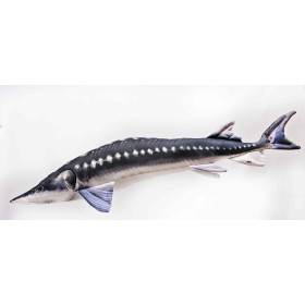 Poduszka dekoracyjna ryba Jesiotr Mini 36 cm maskotka - zdjęcie 1