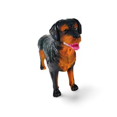 Pies Rottweiler