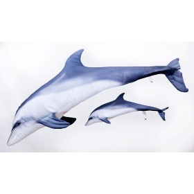 Poduszka dekoracyjna ryba Delfin butlonosy szary 55 cm maskotka - zdjęcie 3