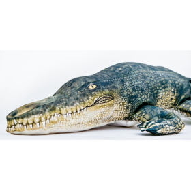 Poduszka dekoracyjna ryba Krokodyl słonowodny 120 cm maskotka - zdjęcie 2