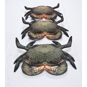 Poduszka dekoracyjna ryba Krab błotny 60 cm maskotka - zdjęcie 4
