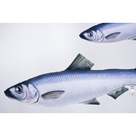 Poduszka dekoracyjna ryba Śledź 60 cm maskotka - zdjęcie 2