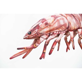 Poduszka dekoracyjna ryba Krewetka tygrysia 65 cm maskotka - zdjęcie 3