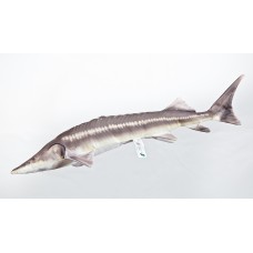 Poduszka dekoracyjna ryba Jesiotr Sterlet 60 cm maskotka