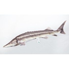 Poduszka dekoracyjna ryba Jesiotr Sterlet 60 cm maskotka - zdjęcie 1