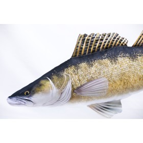 Poduszka dekoracyjna ryba Sandacz Giant 105 cm maskotka - zdjęcie 2