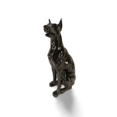 Pies Doberman