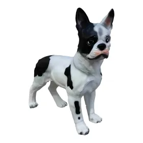 Figura dekoracyjna Pies buldog francuski czarno-biały H: 51cm z żywicy - zdjęcie 2