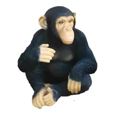 Figura dekoracyjna Szympans H: 50cm z żywicy