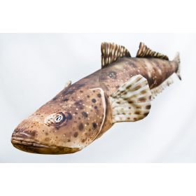 Poduszka dekoracyjna ryba Płaskogłowy 97 cm maskotka - zdjęcie 2