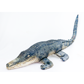 Poduszka dekoracyjna ryba Krokodyl słonowodny 120 cm maskotka - zdjęcie 1