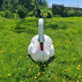 Łabędź pływający duży H: 47cm ogrodowy figura do ogrodu - zdjęcie 5