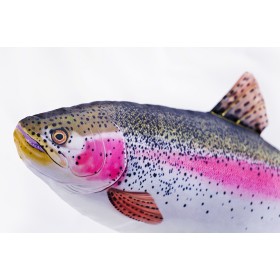 Poduszka dekoracyjna ryba Pstrag tęczowy 62 cm maskotka - zdjęcie 2