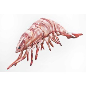 Poduszka dekoracyjna ryba Krewetka tygrysia 65 cm maskotka - zdjęcie 1