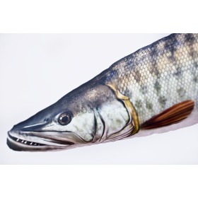 Poduszka dekoracyjna ryba Szczupak amerykański 80 cm maskotka - zdjęcie 2