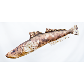 Poduszka dekoracyjna ryba Płaskogłowy 97 cm maskotka - zdjęcie 1