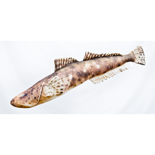 Poduszka dekoracyjna ryba Płaskogłowy 97 cm maskotka