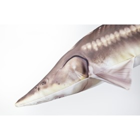 Poduszka dekoracyjna ryba Jesiotr Sterlet 60 cm maskotka - zdjęcie 2