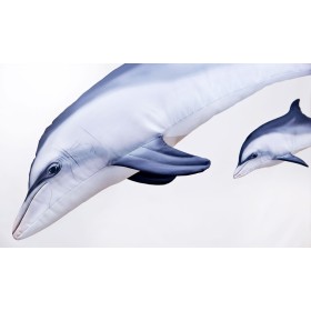 Poduszka dekoracyjna ryba Delfin butlonosy szary 55 cm maskotka - zdjęcie 2
