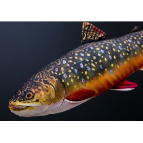 Poduszka dekoracyjna ryba Pstrąg źródlany 62 cm maskotka - zdjęcie 2