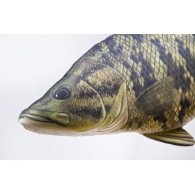 Poduszka dekoracyjna ryba Bass małogębowy 35 cm maskotka - zdjęcie 2
