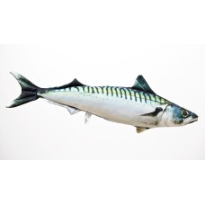 Poduszka dekoracyjna ryba Makrela 60 cm maskotka