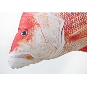 Poduszka dekoracyjna ryba Lucjan czerwony 80 cm maskotka - zdjęcie 2