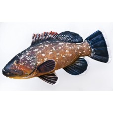 Poduszka dekoracyjna ryba Granik 100 cm maskotka