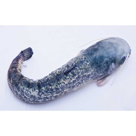 Poduszka dekoracyjna ryba Sum 115 cm maskotka - zdjęcie 3